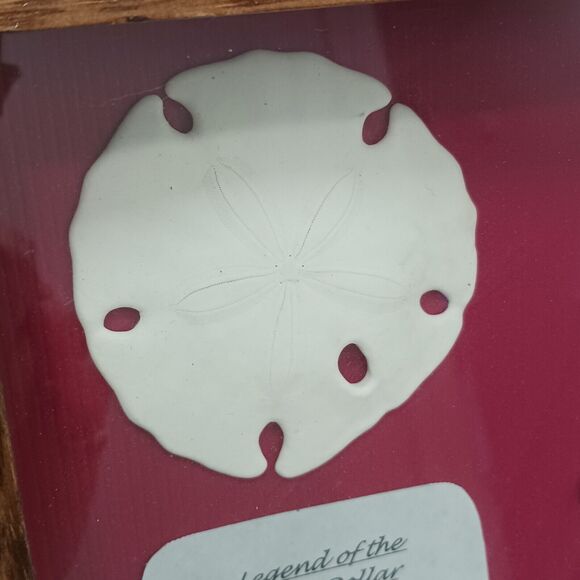 VNT Legend Of The Sand Dollar Maplewood Frame RED Shadowbox Decor Art Coastal - Picture 8 of 16